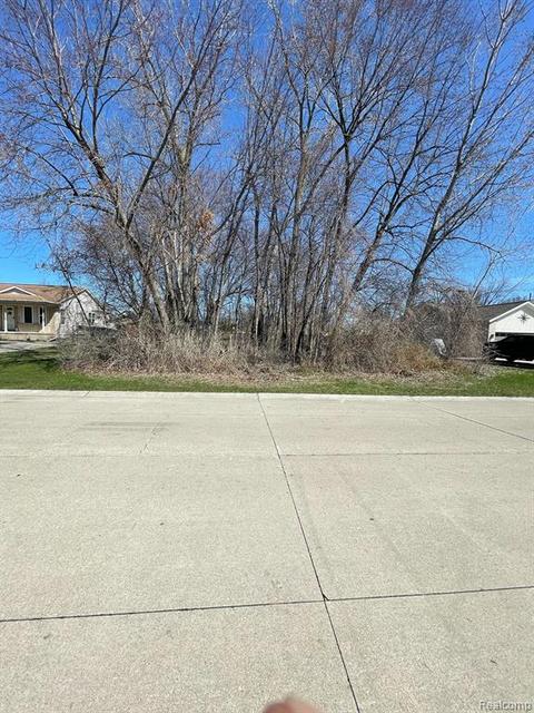 1135436034 Donaldson, Clinton Township, MI 48035