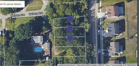 0000 Nelson Ave, Brownstown, MI 48174