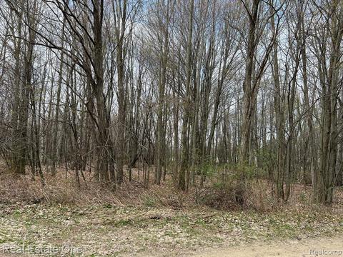 000 Pleasant Way W, Port Austin, MI 48088