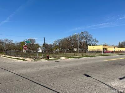 20115 John R St, Highland Park, MI 48203