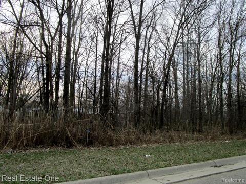 Vacant Lange Avenue, Romulus, MI 48174