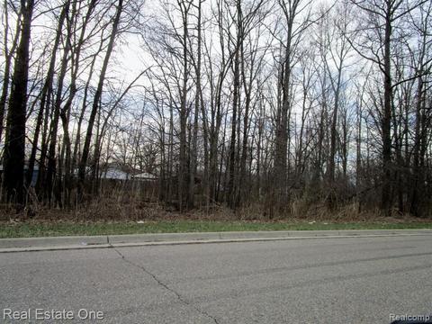 Vacant Lange Avenue, Romulus, MI 48174