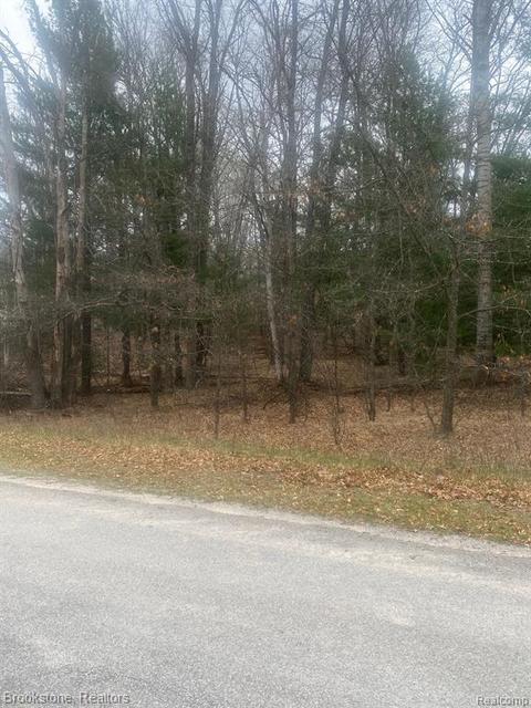00 Caribou Trl, West Branch, MI 48661