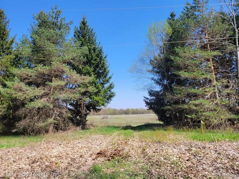 Vl Edward, Fostoria, MI 48435