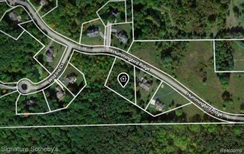 12919 Hummingbird Rdg, Davisburg, MI 48350