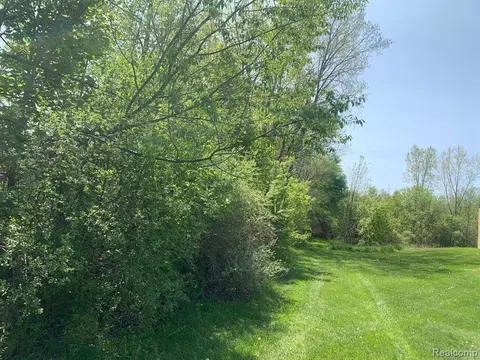 0 E Mt Morris Rd, Mount Morris, MI 48458