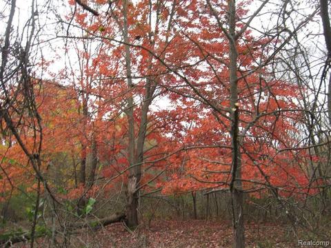 0 Lannen Rd, Howell, MI 48855