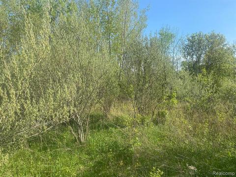 Parcel C Golf Rd, Lapeer, MI 48446