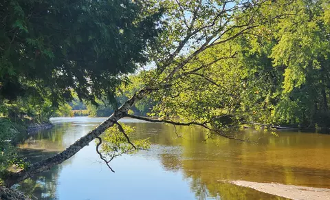000 Logging Trail Dr, Sylvan, MI 49679