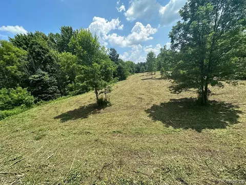 00 Rochester Rd, Davison, MI 48428