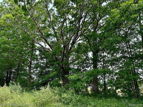 00 Coulter Rd, Lapeer, MI 48446
