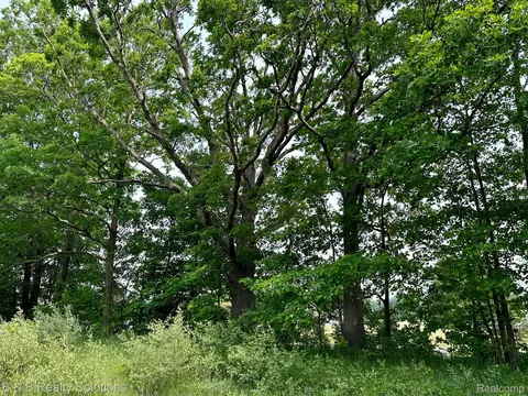 00 Coulter Rd, Mayfield, MI 48446