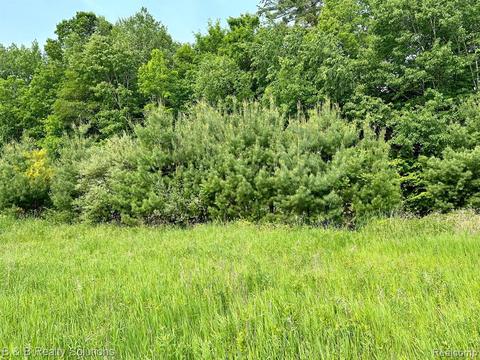 00 Farnsworth Rd, Lapeer, MI 48446
