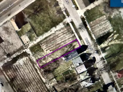 3533 Belvidere St, Detroit, MI 48214