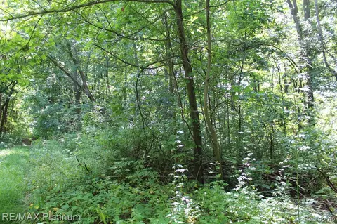 Vac Fortune Trail, Milford, MI 48381