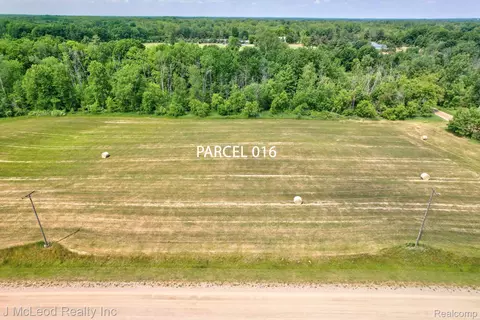 Parcel B Centennial Ln, Forest, MI 48746