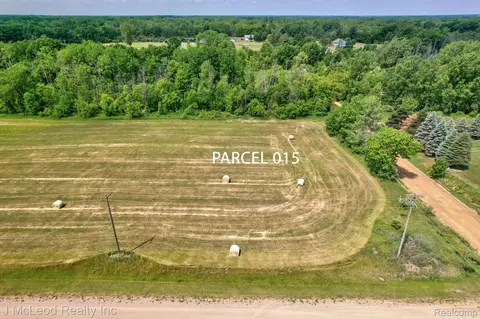 Parcel A Centennial Ln, Forest, MI 48746