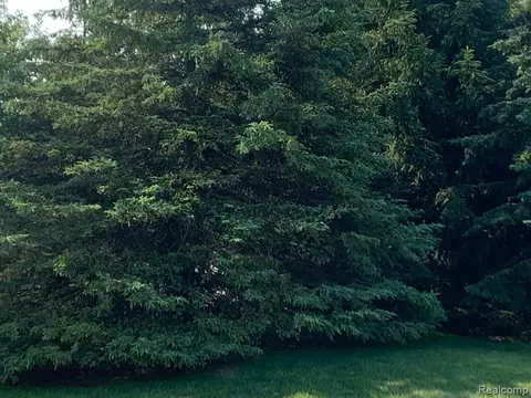 Vacant Covert Rd Ne, Cold Springs, MI 49659