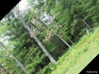 000 Stewart St, Idlewild, MI 49642