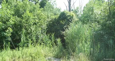 Vac Willis Rd Road, Belleville, MI 48111