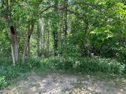 Vl Perry Road, Grand Blanc, MI 48439