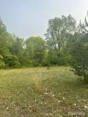Vl N Lapeer Road, Fostoria, MI 48435