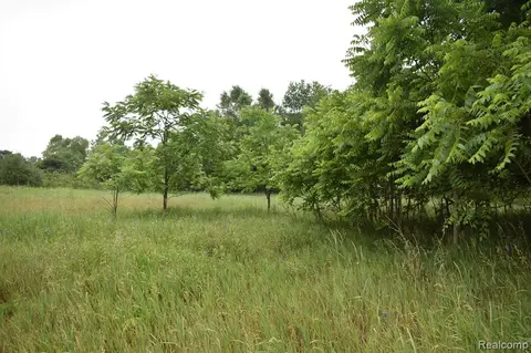 V/l Stow Road, Fowlerville, MI 48836