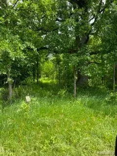 Vl Norman Road, Imlay City, MI 48444