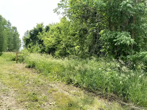 Vl Peck Road, North Branch, MI 48461