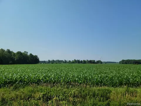 004 Dixon Rd, Caro, MI 48723