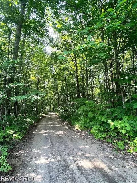 11372 Partridge Ln NE, Mancelona, MI 49659