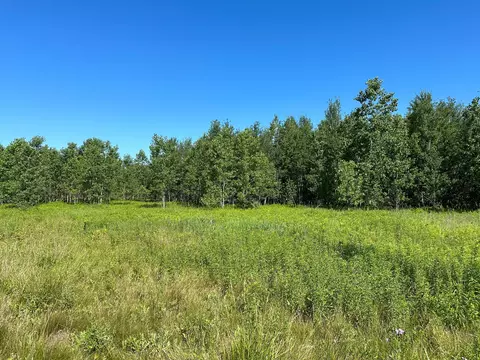 00 Cade Rd, Goodland, MI 48444