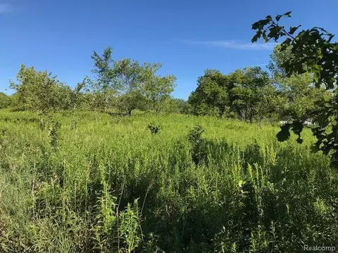 00 Bradley, Webberville, MI 48892