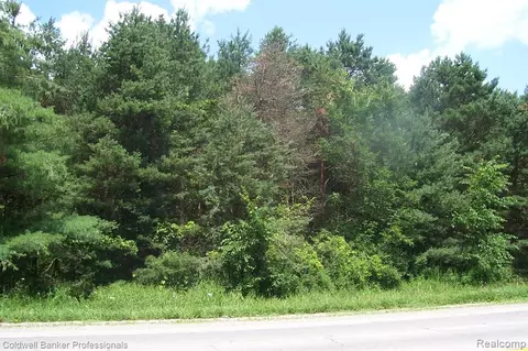 V/l North Branch Road, North Branch, MI 48461
