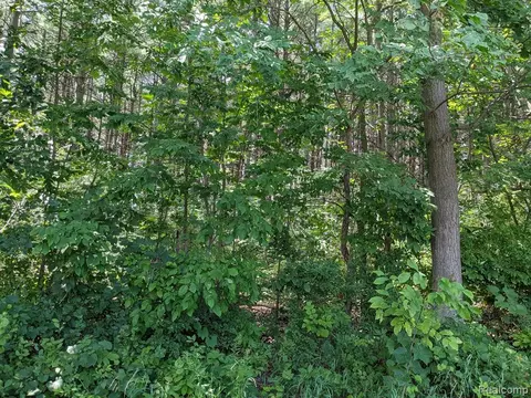 Parcel G Bassett, Lapeer, MI 48446
