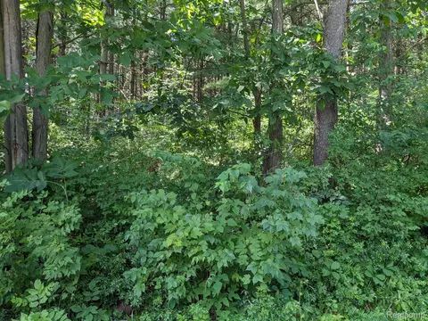 Parcel F Bassett, Elba, MI 48446