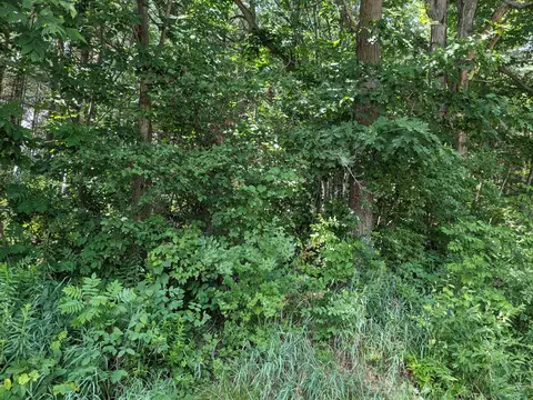 Parcel E Bassett, Elba, MI 48446
