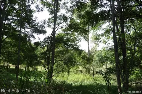 0000 Indian Camp Trl, Howell, MI 48855