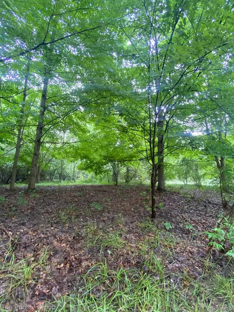 00 Dartmouth Rd, Independence, MI 48348