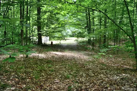 Vacant Maple Hill, Fairview, MI 48621
