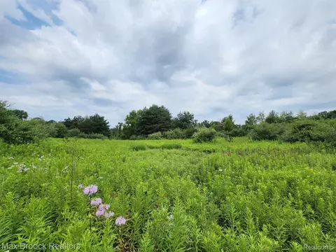 00000 Hunters Creek Rd, Attica, MI 48412
