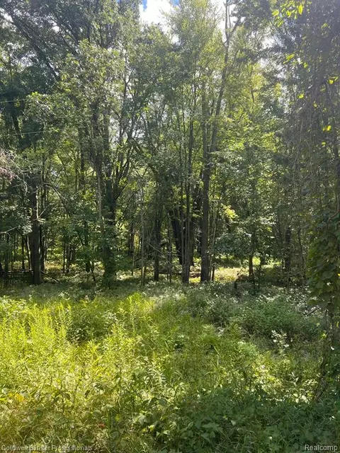 0 W Castle Rd, Fostoria, MI 48435