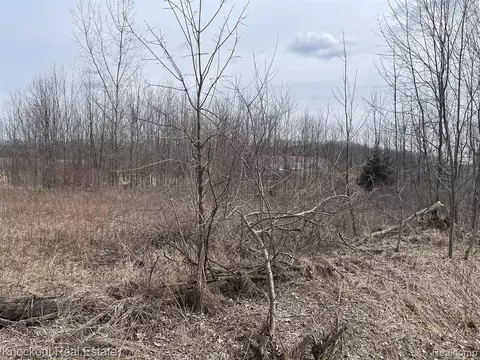 0 Henderson Rd, Otisville, MI 48463