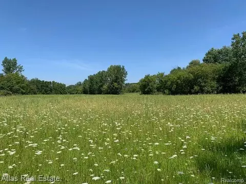 0 Carpenter Rd, Davison, MI 48423