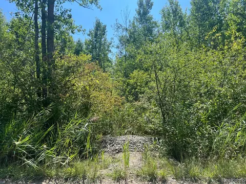 Vacant Land Arkona Road, New Boston, MI 48164