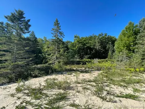 Surf Park Lot 202 Shosone Lane, Bearinger, MI 49759