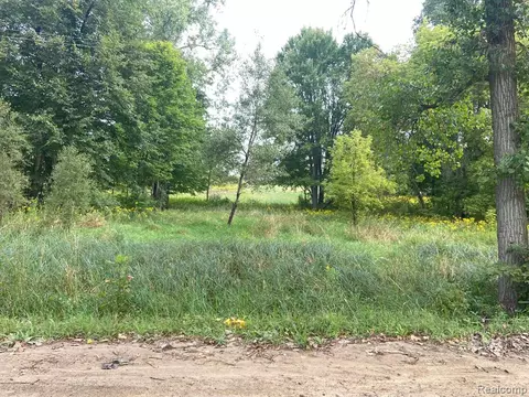Vl W Barnes Lake Road, Columbiaville, MI 48421