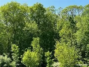 0000 Hidden Lake Trl, Ortonville, MI 48462