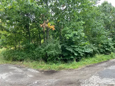 00 S Van Vleet Rd S, Swartz Creek, MI 48473