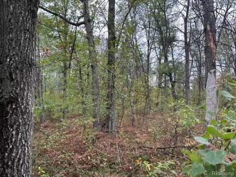 10 Acres W 6 Mile Rd, Beaver Creek, MI 48738